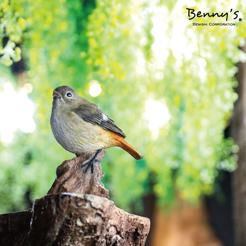 Amazon.co.jp: リアルすぎてドキッとするほど本物そっくりな小鳥の